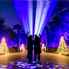 Christmas-in-Kew-Gardes.png