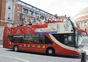 sightseeing2.jpg